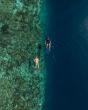 Exploring Marine Wildlife at Cinnamon Hotels & Resorts in the Maldives on World Wildlife Day