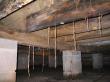 Universal Pest & Termite Warns Residents of Costly Mistake: Confusing Termites and Ants