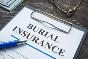 Burial Insurance Market Share 2025