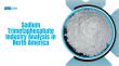 North America Sodium Trimetaphosphate Market to Reach US$ 21.66 Million by 2034, Expanding at 4.1% CAGR