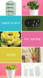 Garden Media Group Releases 'Superstars for Spring': New Products and Plants for 2025