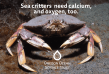Oregon Lawmakers Introduce the 'Blue Economy Bill' to Advance Ocean and Coastal Science
