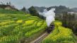 Sichuan Qianwei: Taking a Steam Train to Spring