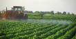 Agricultural Adjuvants Market Worth USD 6.4 billion by 2031 – APAC Provide the Highest Revenue Generating Opportunities