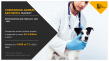 The Growing Companion Animal Arthritis Market: Trends, Challenges, and Opportunities