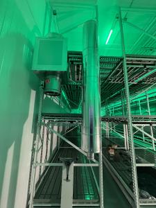 Cannabis Growing Room: Integrated Racks with Green Lights