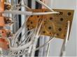 ConScience AB Unveils Next-Generation Quantum Devices: QiB1 and QiB2