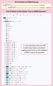 FTDNA Haplogroup