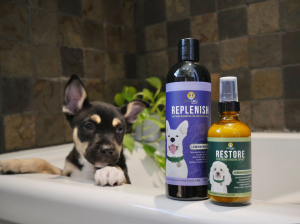 Replenish CBD Dog Shampoo & Replenish CBD Groom Spray from CBD Dog Health