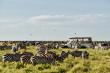 Go2Africa Releases its Annual State of Safari Report for 2024