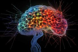 WolfMind Neuro – a photo of a brain.  Neuroscience-driven neurofeedback practice focused on mental clarity, focus, and cognitive performance.