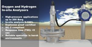 O2 and H2 Analyzer