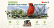 Birdfy Introduces Birdfy Livestream: One Click to See Birds & Share Your Feeds Worldwide