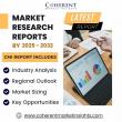 Diabetic Footwear Market Demand : Identifying Key Growth Opportunities By 2032 | Enovis companies, Pilgrim Shoes