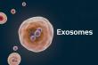 Exosomes Market Projected To Witness Substantial Growth, 2025-2032: Bio-Techne, QIAGEN, Lonza, Miltenyi Biotech, Ciloa