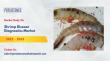 Shrimp Disease Diagnostics Market to Reach USD 821 Million by 2033 – Persistence Market Research
