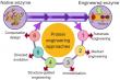 Protein Engineering Market Projected To Witness Substantial Growth, 2025-2032: Agilent Technologies Inc., Amgen Inc