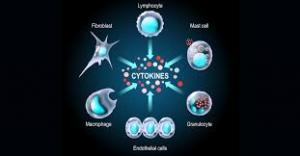 Cytokine Market 2025