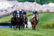 Iroquois Steeplechase Announces Unique International Jump Racing Partnership