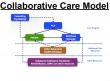 Collaborative Care Model Market Projected To Witness Substantial Growth, 2025-2032: Ascension Health, Scripps Health 