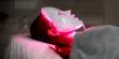 Light Therapy Market to Reach $ 1,560.7 Mn by 2032, Growing Demand & Innovation | Northern Light Technology, TheraLight