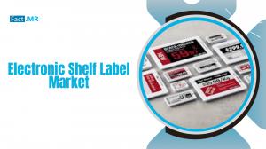 Electronic Shelf Label Market size