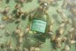Tabbeau Place Unveils Groundbreaking New Fragrances, Redefining Luxury Perfumery