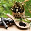 Bamboo Charcoal Market to Expand at a CAGR of 7.3% and Reach USD 35.20 billion by the End of 2034