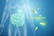 Medical Probiotics Market Set to Witness Significant Growth by 2025-2032: Yakult Honsha Co., Nestle S.A., DowDuPont Inc
