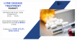 The Global Lyme Disease Treatment Market: A Comprehensive Overview and Future Outlook