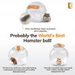 Happy Habitats Secures Patent for Revolutionary Small Pet Exercise Ball: The Roam