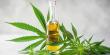 Cannabidiol Market Projected To Witness Substantial Growth, 2025-2032:Medterra CBD, Aphria, Inc., GW Pharmaceuticals Plc