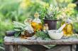 Global Traditional Medicine Market Booming Due to Renewed Interest in Herbal and Alternative Therapies with a CAGR 7.7%