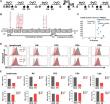 IL2RG Gene Therapy for X-SCID