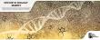The Future of Innovation: Exploring the Global Synthetic Biology Market