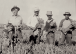 Mellano & Company Celebrates 100 Years of Floral Farming Excellence - A Century of Growth and Innovation