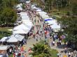 ORANGE BEACH FESTIVAL OF ART RANKS BEST ART FESTIVAL IN AMERICA