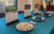 ACHS Supports the Portland People and Planet First Showcase