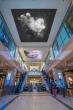 900 North Michigan Shops to Feature Internationally Acclaimed Digital Artist, Andrés Reisinger