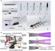 Enhancing neural signal fidelity: controlling ultramicroelectrode tip exposure for single-cell recording