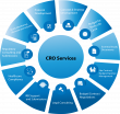 Contract Research Organization Services Market Is Booming Worldwide 2025-2032: Medpace Holdings, Envigo, MPI Research.