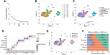 Immune Subtyping and NK Cell Targeting: Optimizing Immune Checkpoint Inhibitor Therapy in Hepatocellular Carcinoma