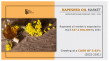 Rapeseed Oil Market Size Eyeing Bigger Moves: $37,199.4 Mn by 2031 With CAGR of 5.6%