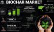 Biochar Market Size to Worth USD 2,097.72 Billion by 2032 | CAGR of 13.60% during 2025-2032