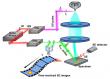 Real-Space Imaging of Surface Carrier Transport in 2D Perovskites