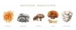 Medicinal Mushroom Market Set to Witness Significant Growth by 2025-2032: Rainforest Herbs, FreshCap Mushrooms, Oriveda