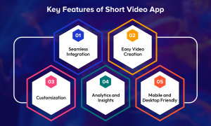 Key Features of Short Video App