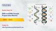 DNA and RNA Sample Preparation Market to Reach USD 3.11 Billion by 2032 – Persistence Market Research