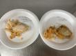 OiLChef QSR Helps Quick Serve Restaurants Reduce 4 Minutes From Raw Bone-In Chicken Frying Times