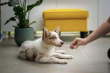 Inaugural World Parasite Awareness Day Spotlights the Preventable Health Risk to Pets and People